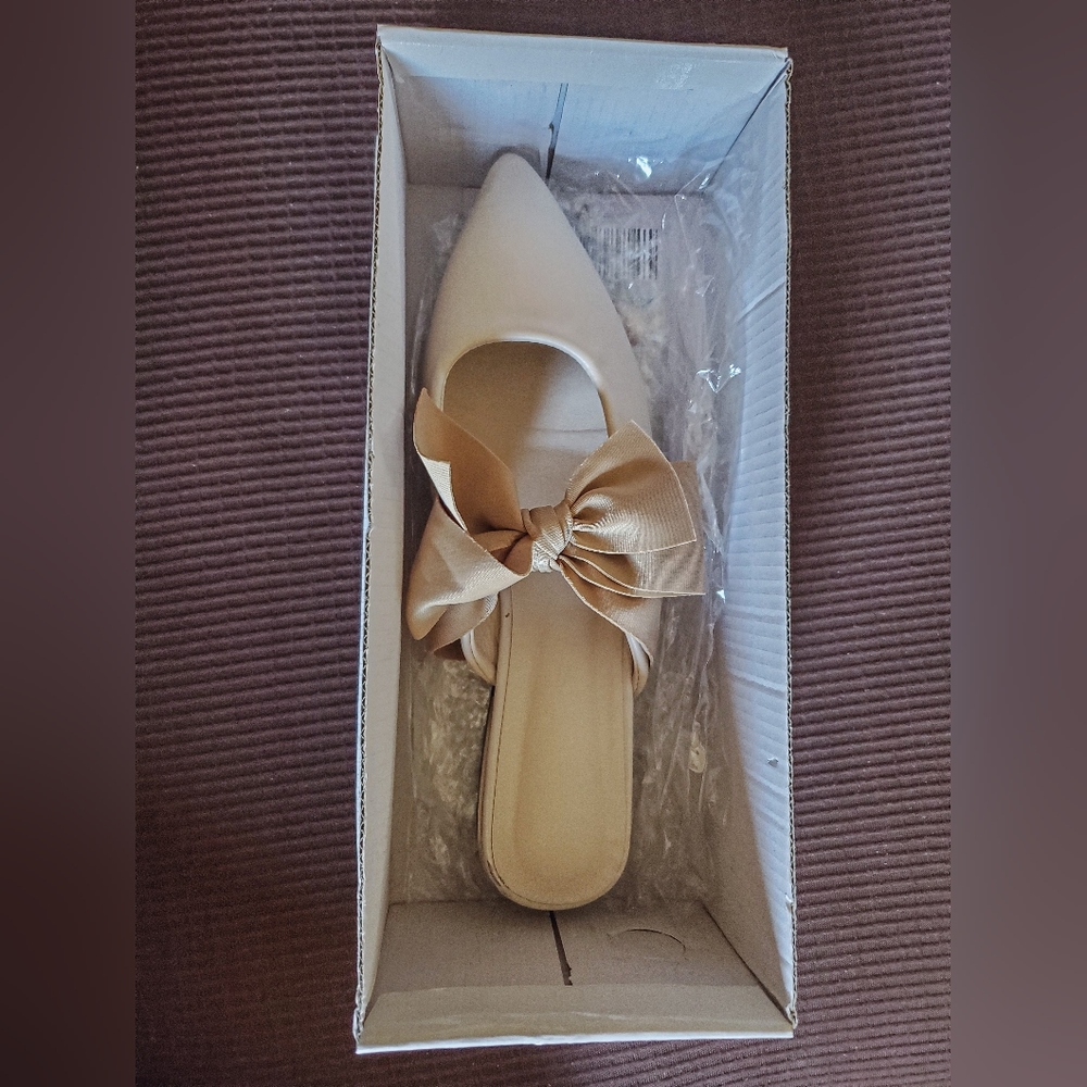 Point Toed Flat Mules